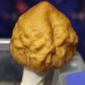 Pig-E "Crumple Cap" Spore Swabs